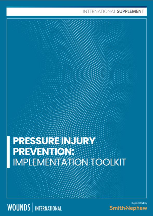 PIP Implentation toolkit.png