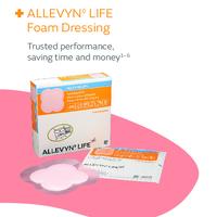 42217-uki ALLEVYN LIFE single sheet 0324.pdf