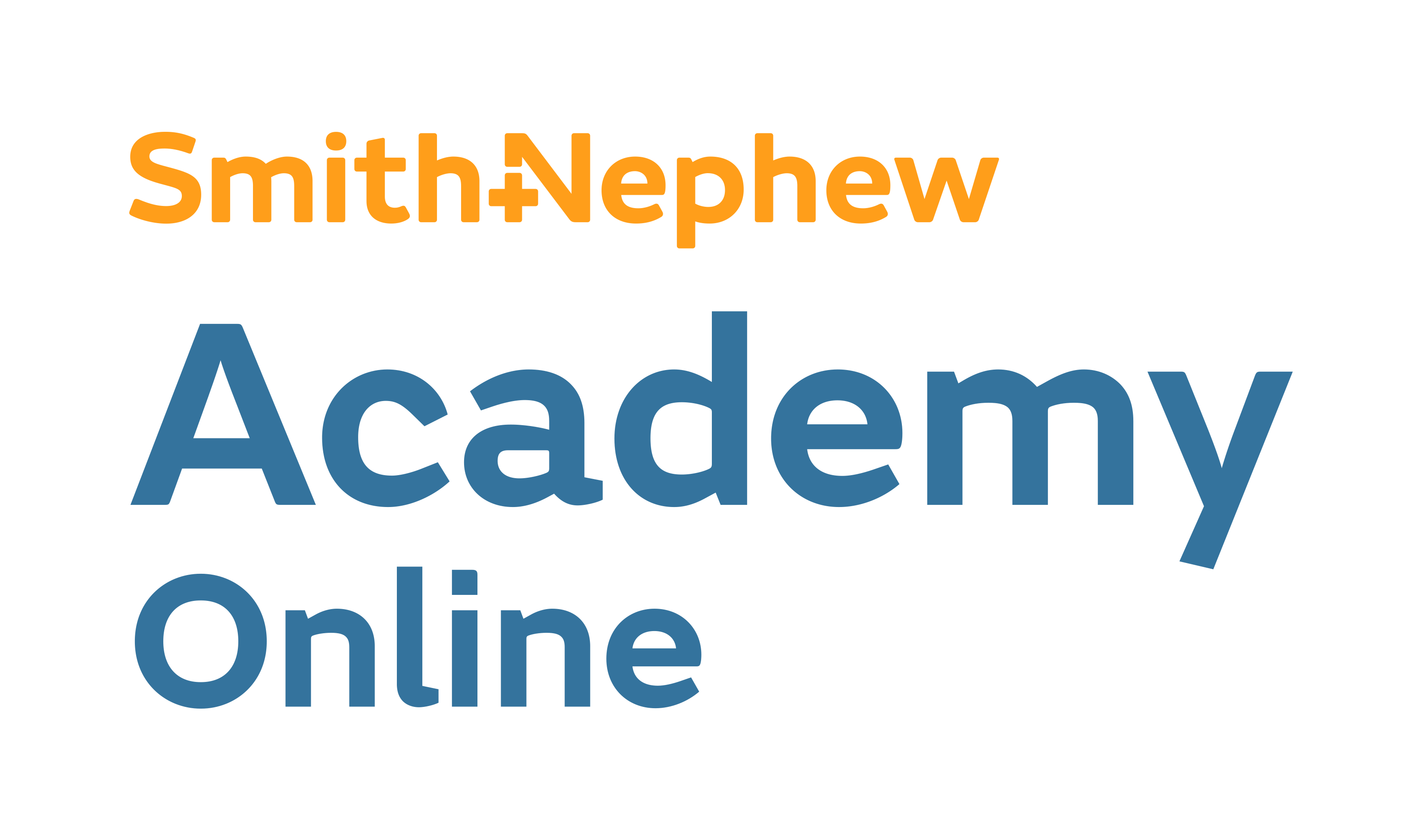 34640-SN-Academy-Online-Logo-transparent-background.png