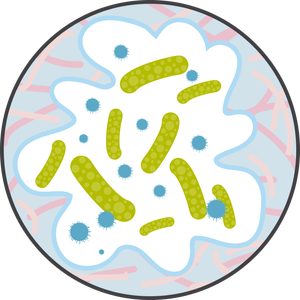 20250319_PICONHW_MoA6