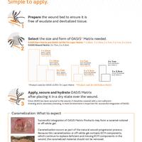 OASIS Application Guide.pdf