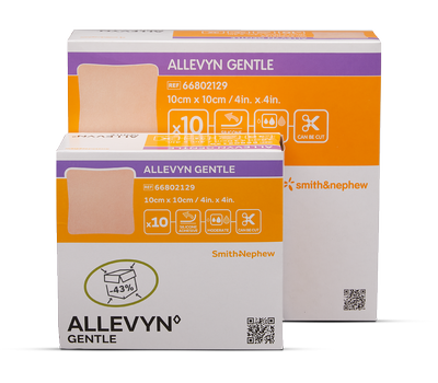 GMC1633-ALLEVYN-BOXES-BRIZO-MASTER-ALLEVYN-GENTLE-66802129.png