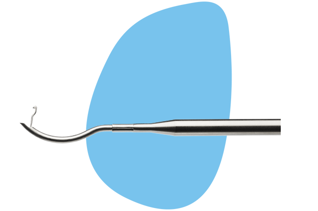 ACCUPASS Matisse