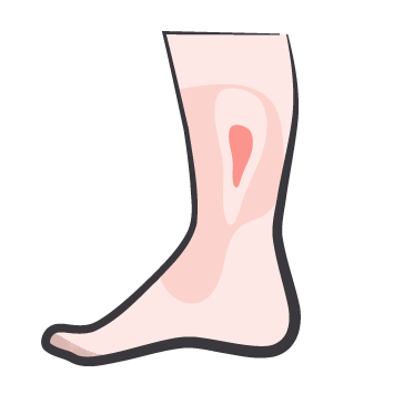 20250321_PICONHW_Flipbook2a