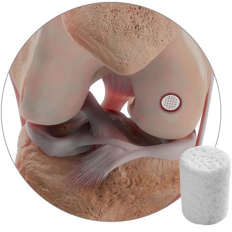 Search