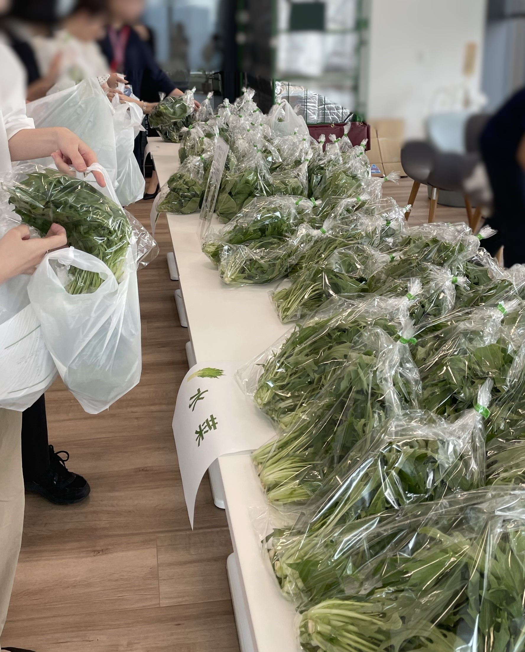 収穫された野菜