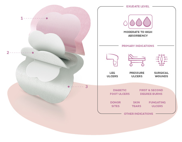 ALLEVYN-Care-Life-exsudate-level.jpg