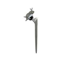 REDAPT Hip Rev with Augments