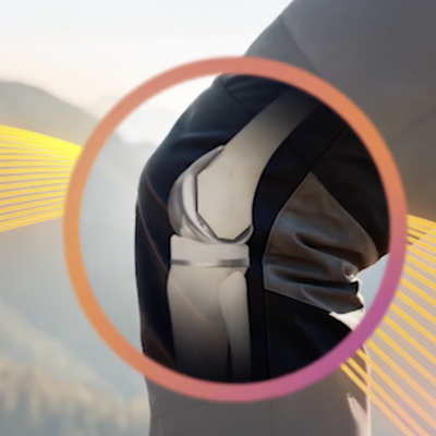 LANDMARK_natural_anatomy.png
