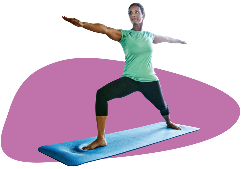 OR3O◊ Dual Mobility System
