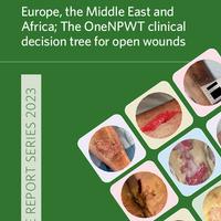 The OneNPWT clinical decision tree for open wounds