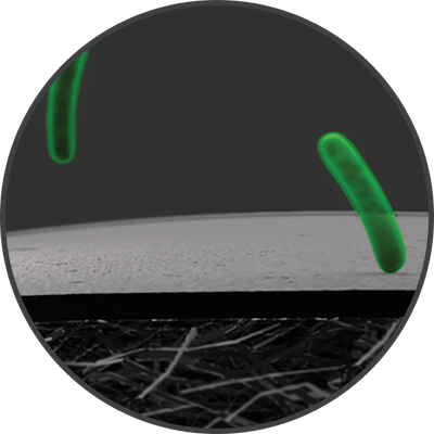 20250319_PICONHW_MoA7