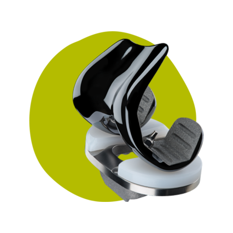 JOURNEY II XR Matisse