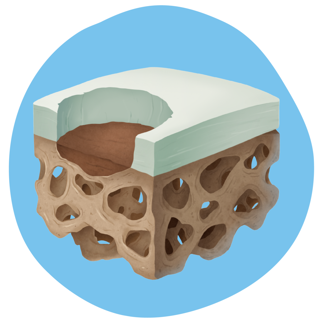 CARTIHEAL Cards-graphic.png