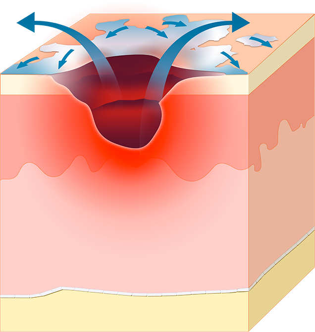 CICAnews 2 - Image 5.png