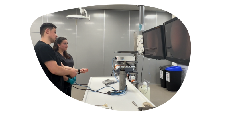 Blog callout 3 - First steps in STEM.png