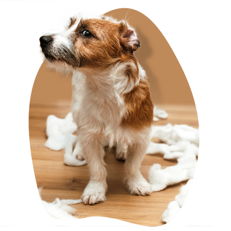 GMC1748 ACTICOAT 2-Week Challenge Toolkit Landing page p3 J2W v1.0.png