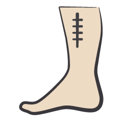 20250506_PICOSSC_FOOT_&_ANKEL_ORTHO.png