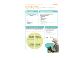 wellbeing-and-your-wound-information-sheet.png