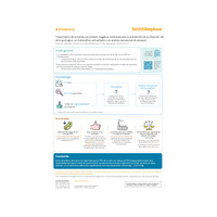 41306_ES_Groenen_PICO_SSI_ Evidencia_0424.pdf