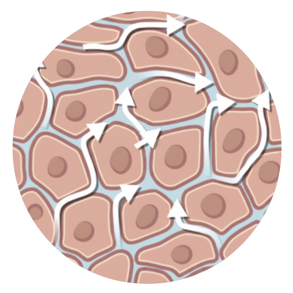 PICO Helps reduce edema.png