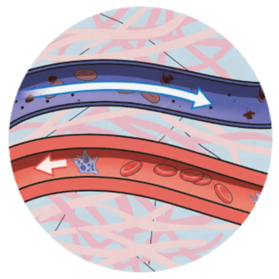 PICO Improves blood flow.png