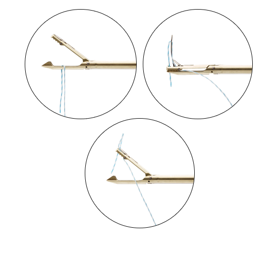 TRUEPASS WEBSEITE.png