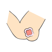 Icon - Consumer - ALLEVYN Sacrum