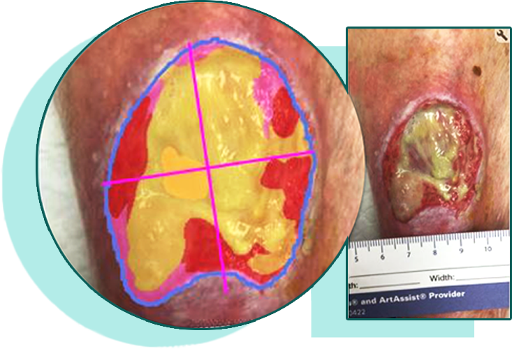 CICAnews 3 - Image 2.png