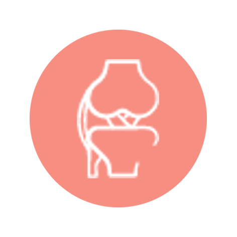 Icon Knee.png