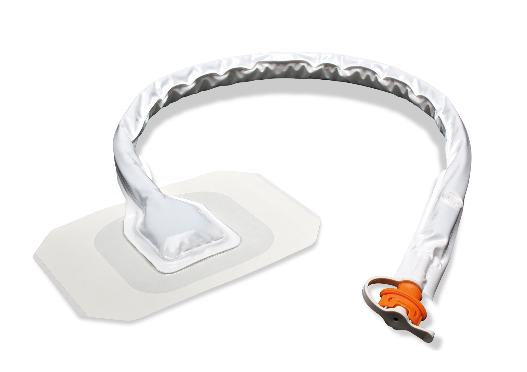 RENASYS Soft Port Hero Image